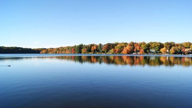 Ein ruhiger See mit der Spiegelung von Bäumen und einem klaren Himmel.