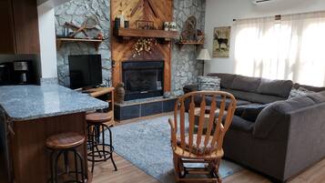 TV connectée, cheminée, jeux vidéo, lecteur de DVD