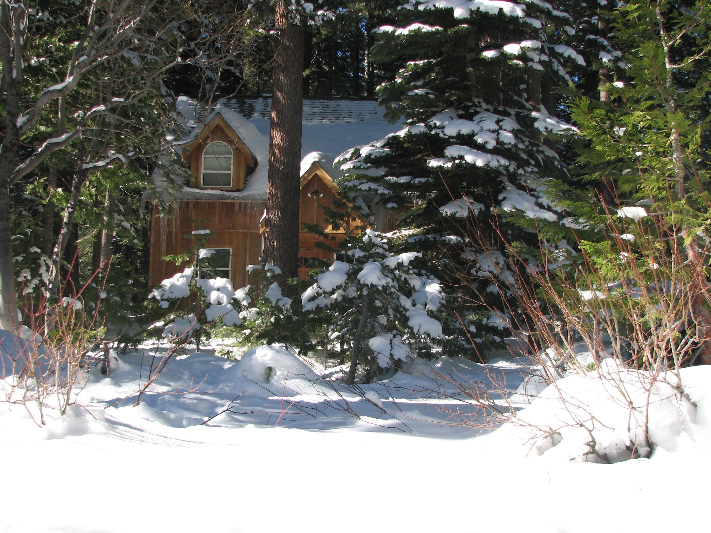 Wonderful Westshore Family Vacation Cabin