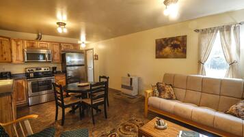 TV, DVD player, books, video library