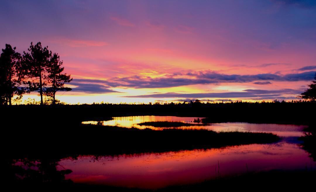 Un coucher de soleil sur un lac paisible, avec les silhouettes d’arbres et une rive lointaine.