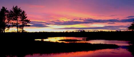 Un coucher de soleil sur un lac paisible, avec les silhouettes d’arbres et une rive lointaine.