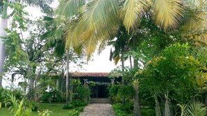 Un sendero de piedra conduce a un edificio con tejado de baldosas, rodeado de abundante vegetación y palmeras.