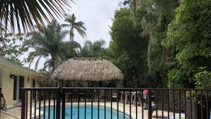 Une piscine entourée d’une clôture, avec une structure à toit de chaume et des palmiers en arrière-plan.