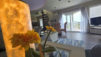 TV connectée, lecteur de DVD, livres