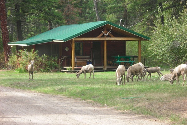 Parco della struttura