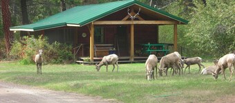 FISHERMANS CABIN UP ROCK CREEK  30 MINUTES FROM MISSOULA MONTANA 
