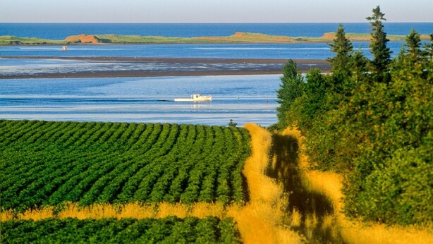 A coastal landscape with a boat on the water, green fields, and a forested area. - 2 bedroom, A/C, Sleeps 6 (New London)