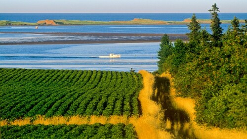 Neu renovierte, malerische, private Zugang zum Fluss Sou'West 