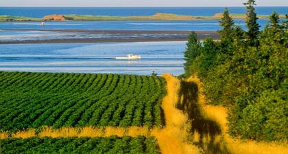 2 bedroom, A/C, Sleeps 6