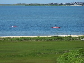 En la playa y camastros 