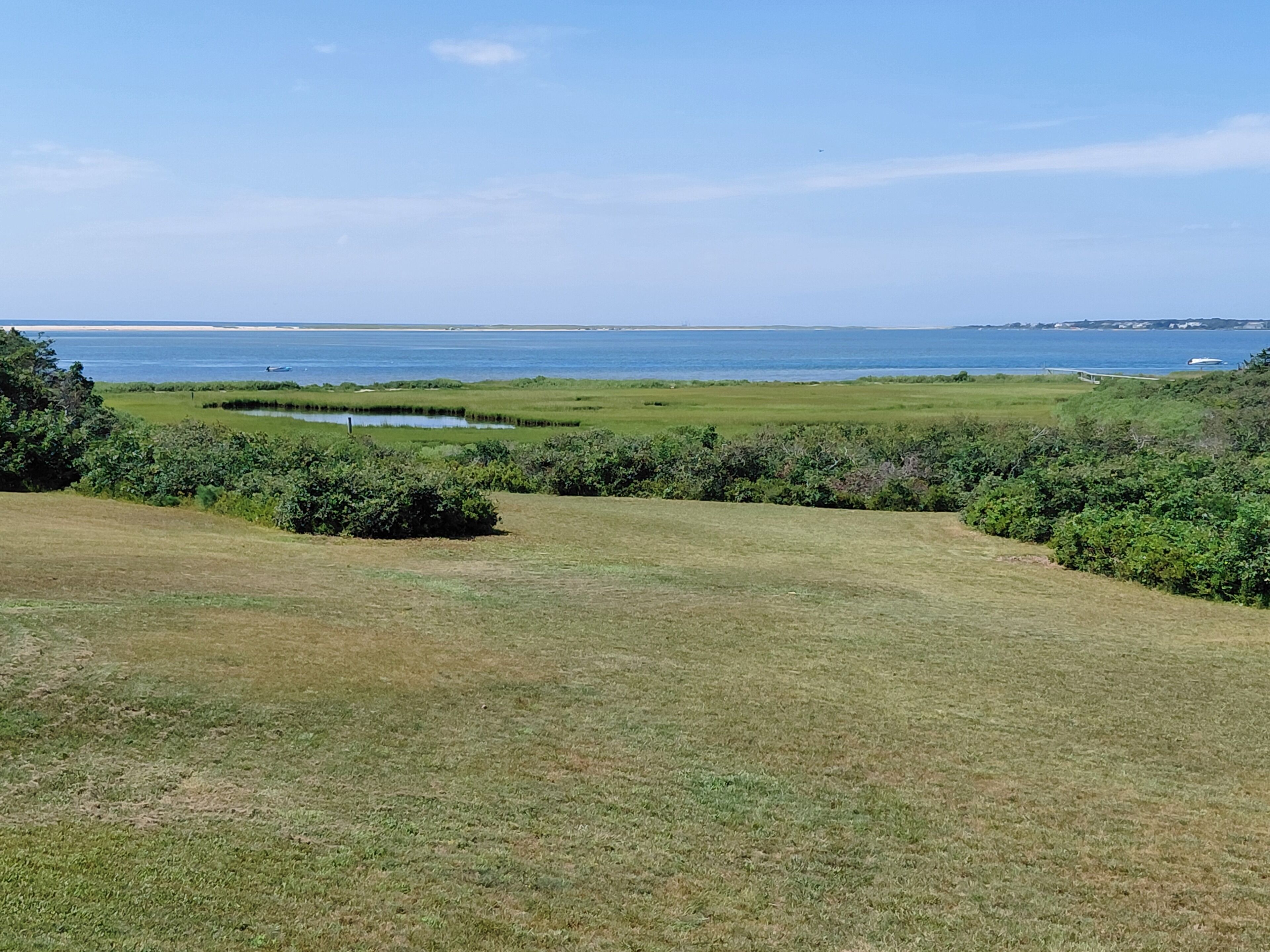 A coastal landscape with a grassy field, dense shrubbery, and a body of water in the distance.