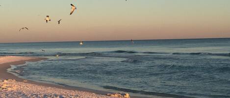 Beach nearby, beach towels