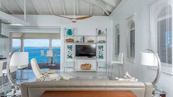 Smart TV, DVD player, books, video library