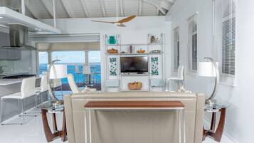 Smart TV, DVD player, books, video library