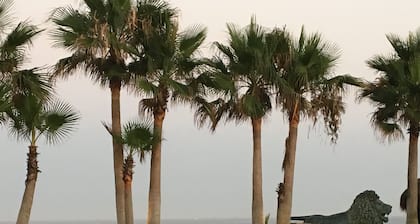 Elegante Villa mit Blick auf das Mittelmeer, Gibraltar, den Strand und den Hafen von Sotogrande