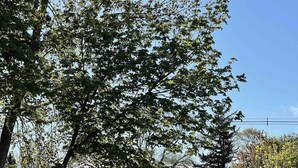 A residential area with a dark house, a lawn, and a park with a bench and statue. - Lake Michigan Beach & Heated Pool 1 King  BR+  Cottage Sleeps 3 (South Haven)