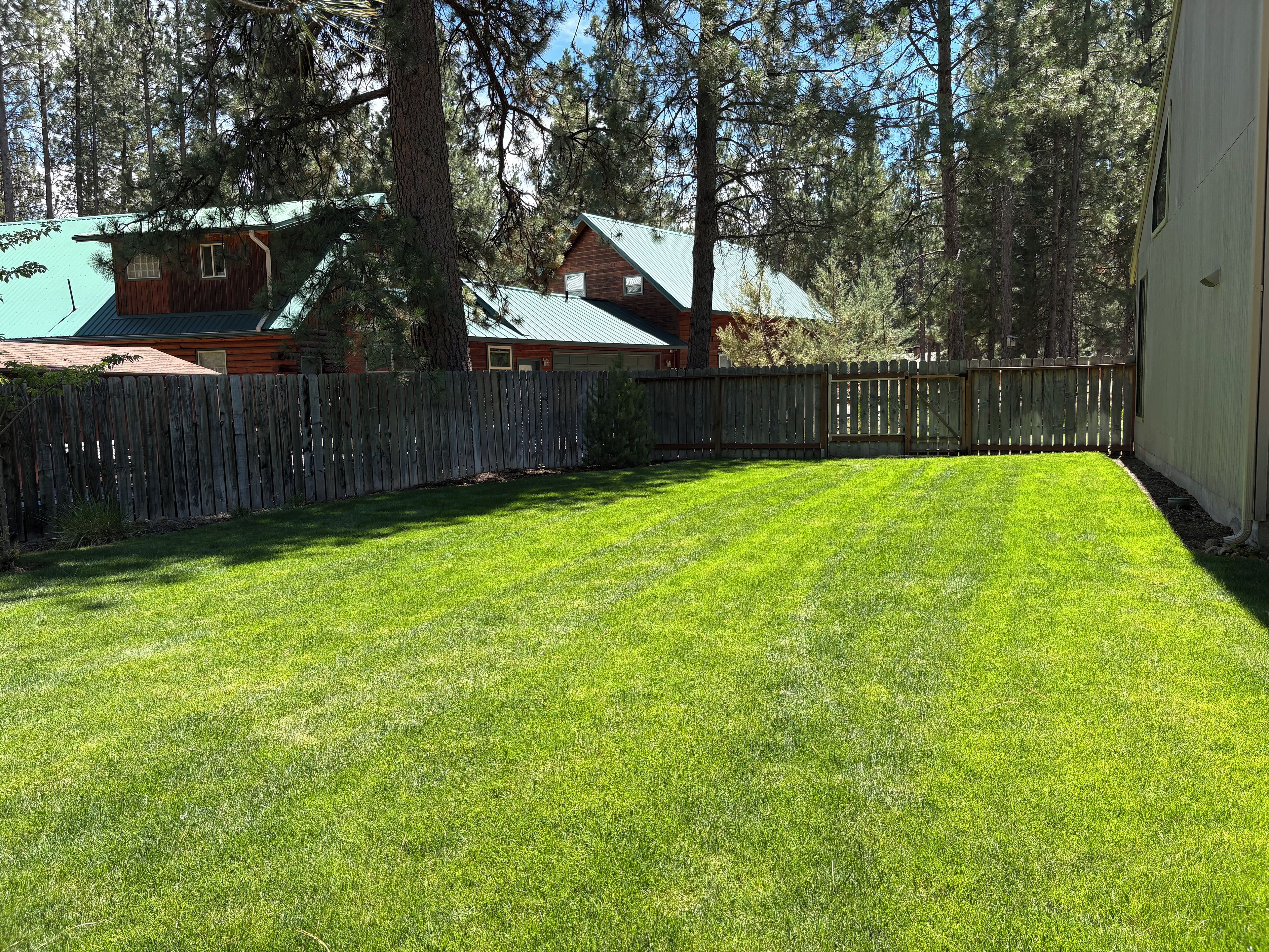 Side yard, Croquet, Bocce Ball or what ever your pleasure.