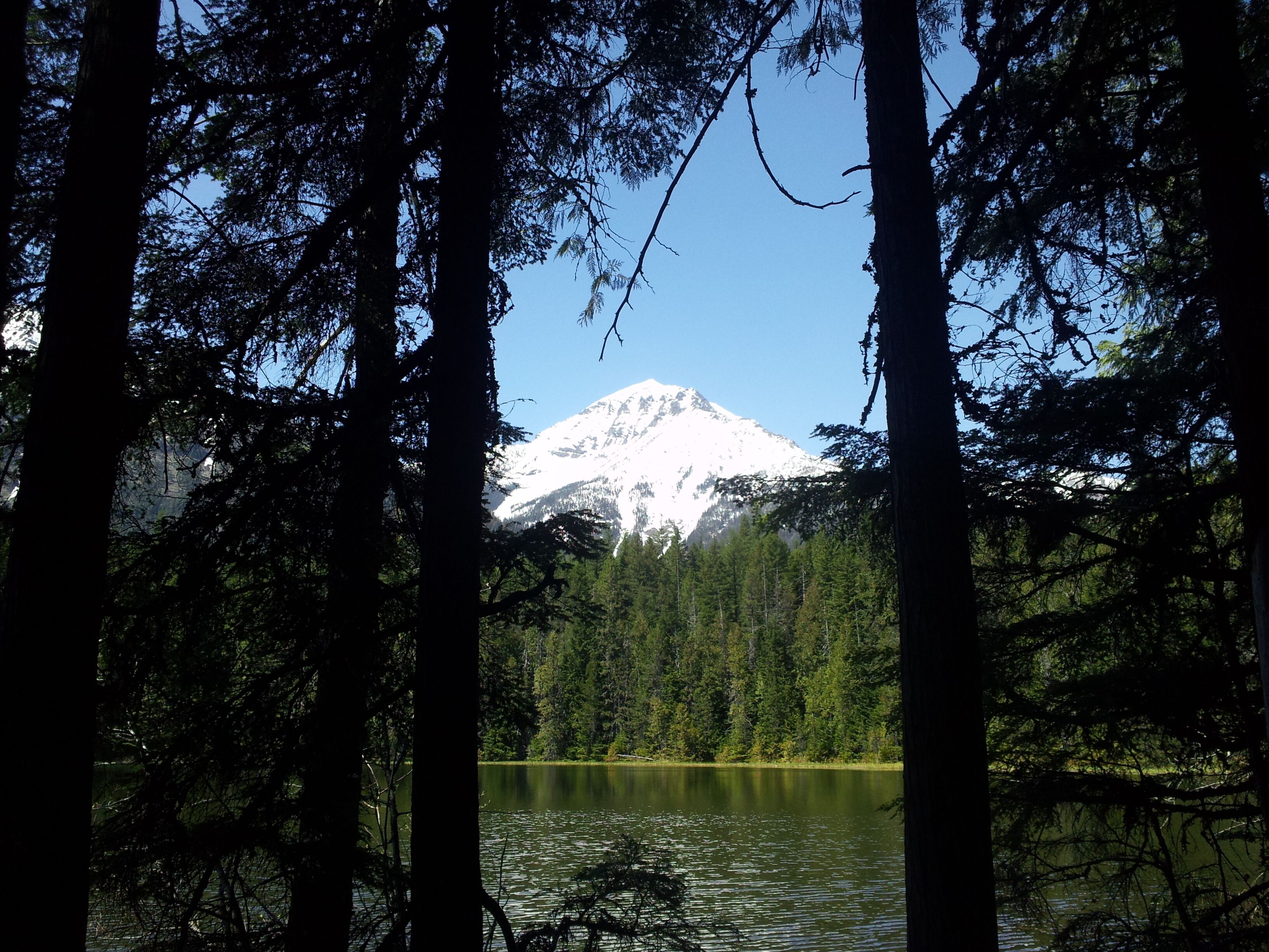 Une montagne dont le sommet est coiffé de neige, entourée d’une forêt dense et bordée d’un lac paisible.