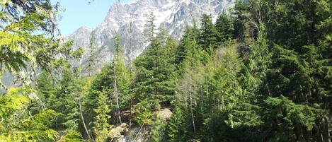 Une vallée boisée, traversée par une rivière, avec des affleurements rocheux et des montagnes en arrière-plan.