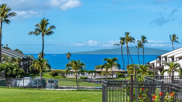 A beachfront property with a view of the ocean, palm trees, and a fenced area with lounge chairs. - Incredible Ocean View,  Most Desirable Unit in the Complex (Kihei)