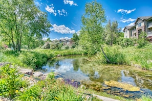 patio overlooks tranquil nature preserve