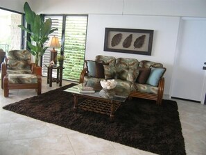 TV, DVD player, books, music library
