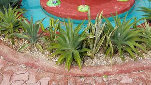Exterior - Guesthouse Pet Friendly (Cancun)