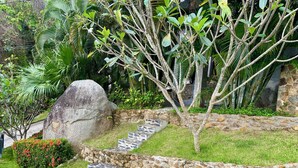Un giardino con una scalinata in pietra che conduce a un muro, circondato da diverse piante e un grosso masso.