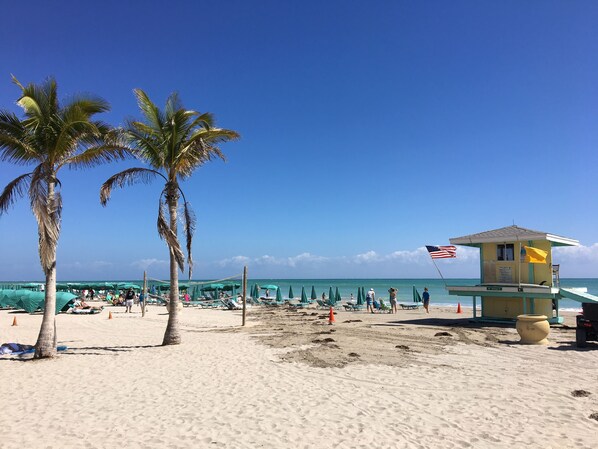 On the beach, sun loungers, beach umbrellas, beach towels - Stylish Oceanview  apartment in Hollywood Beach + 2 free bikes  (Hollywood)