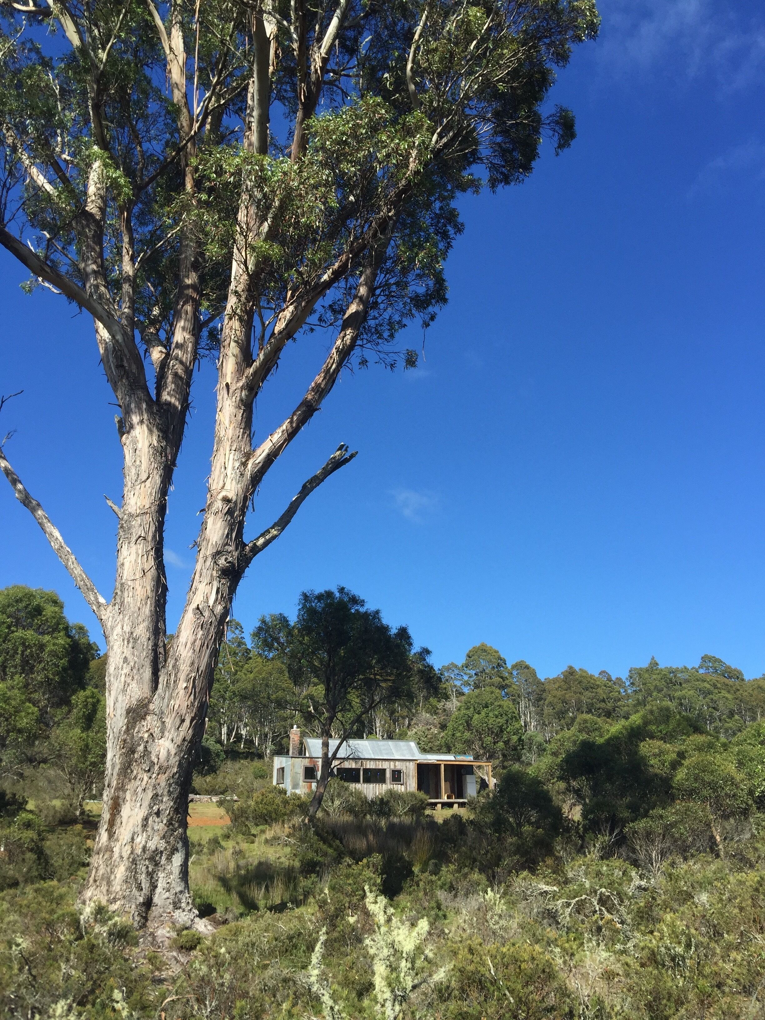 Newly-restored Cradle Mt house 12min to Nat Park — image 29