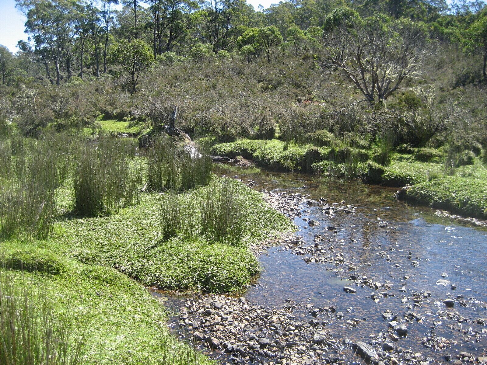 Newly-restored Cradle Mt house 12min to Nat Park — image 22