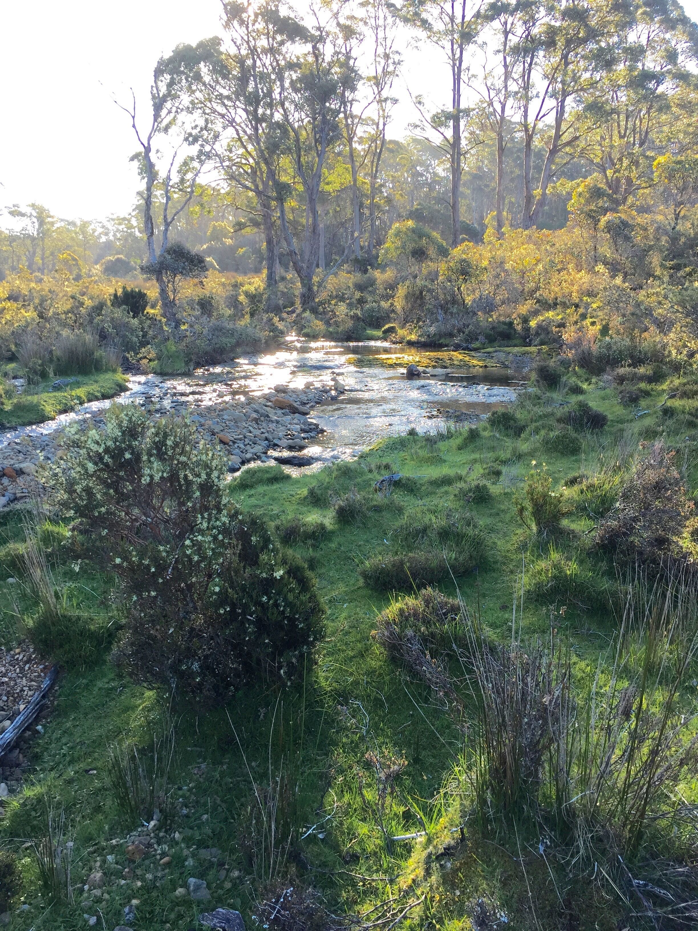 Newly-restored Cradle Mt house 12min to Nat Park — image 23