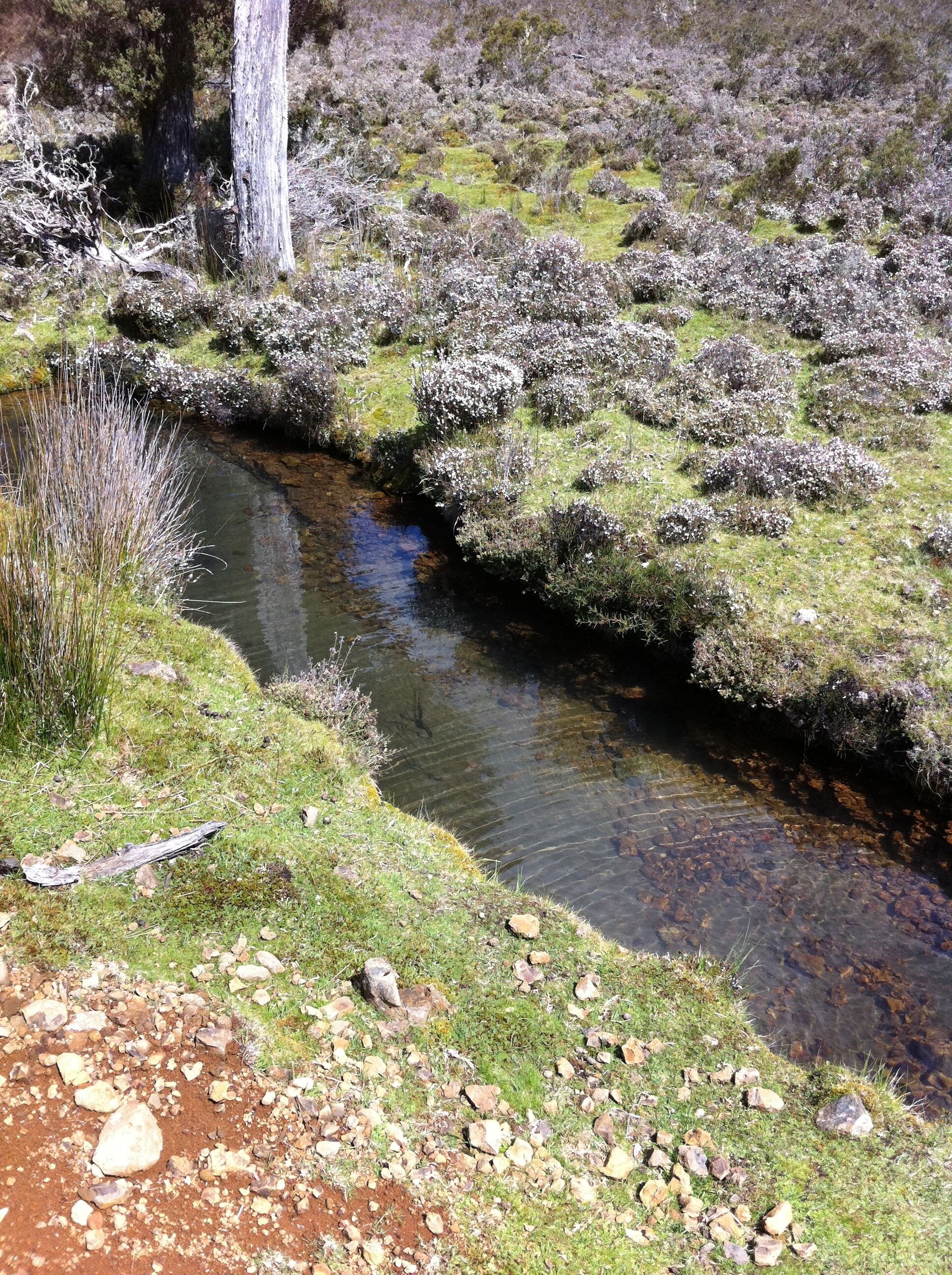 Newly-restored Cradle Mt house 12min to Nat Park — image 27