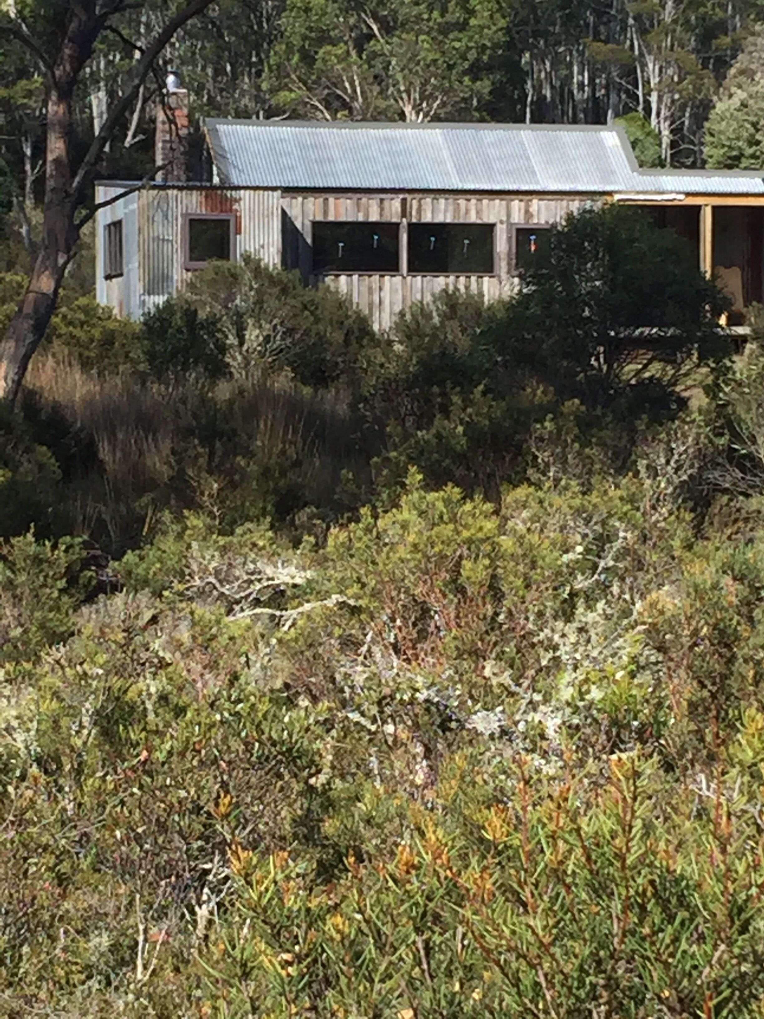 Newly-restored Cradle Mt house 12min to Nat Park — image 17