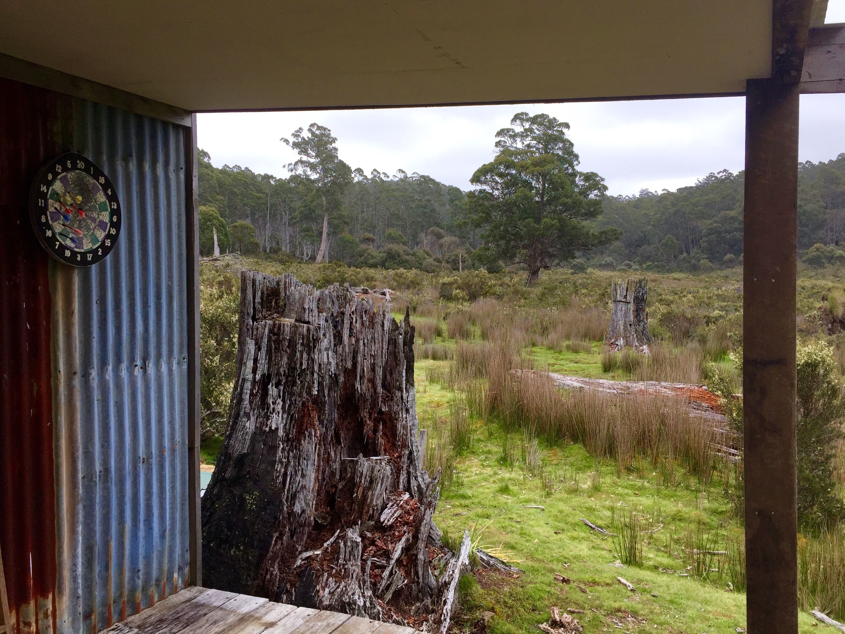 Newly-restored Cradle Mt house 12min to Nat Park — image 19