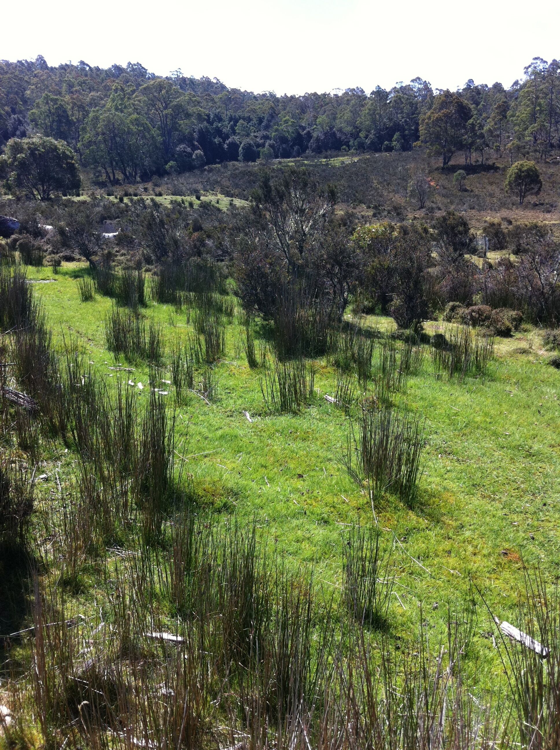 Newly-restored Cradle Mt house 12min to Nat Park — image 28