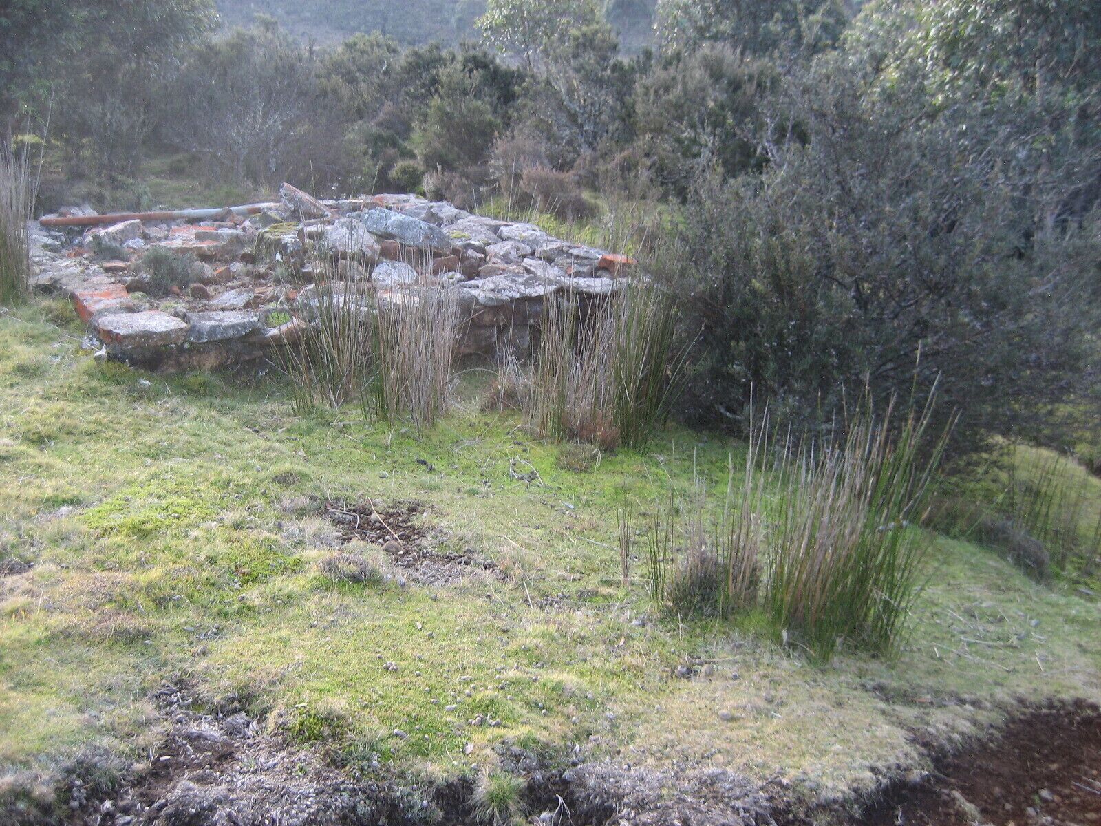 Newly-restored Cradle Mt house 12min to Nat Park — image 26