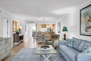 تلفزيون، مشغل دي في دي