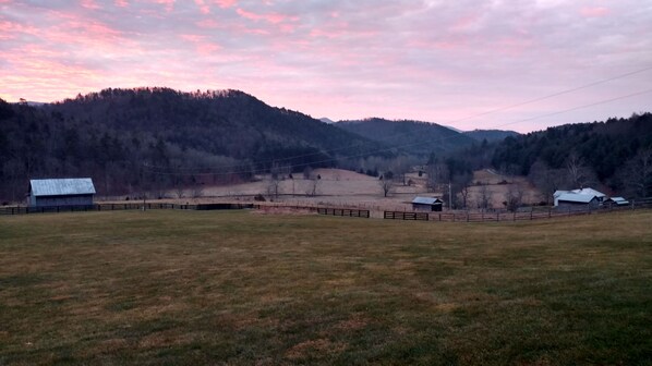 Property grounds - Big Spring Bed & Breakfast (Williamsville)