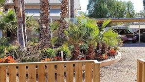 A landscaped garden with palm trees and various plants, a wooden bench, and a building with a metal roof in the background.