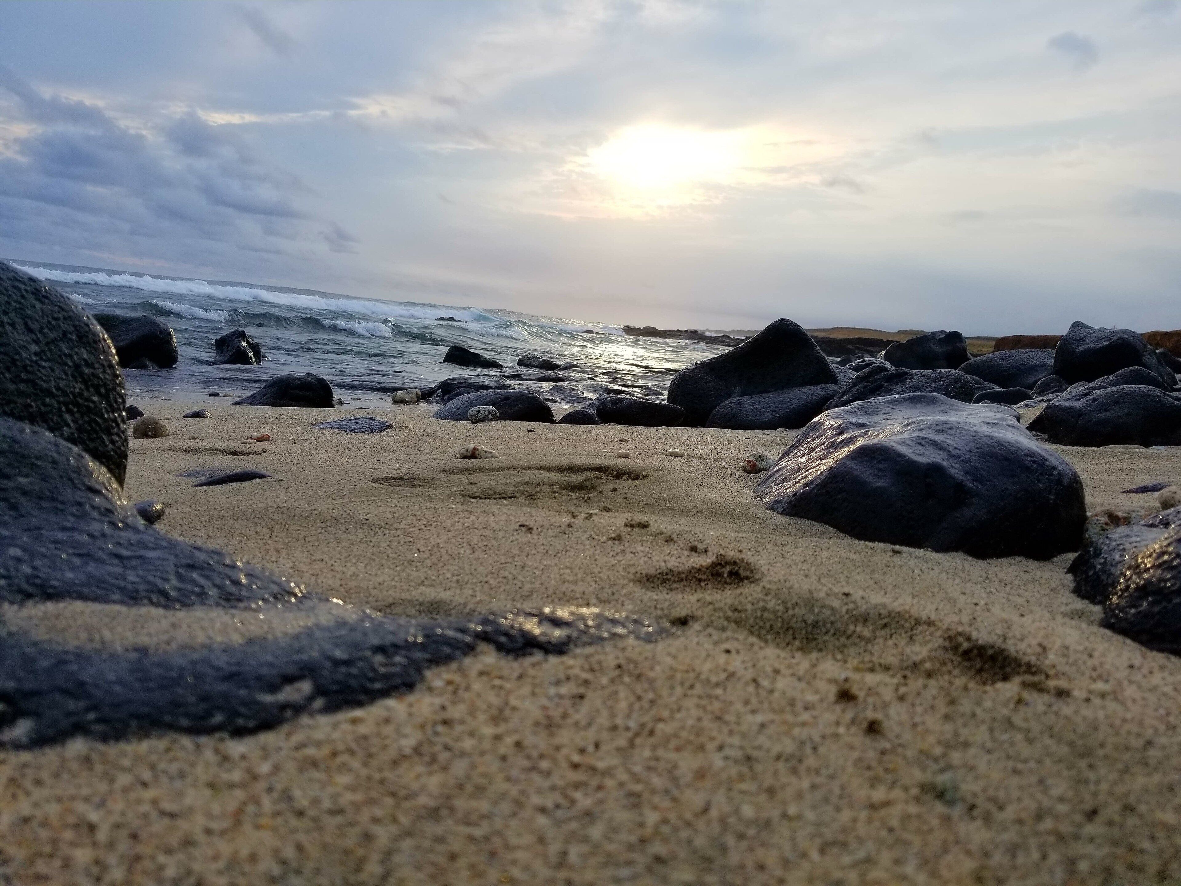 Going Green at the Kuleana Ranch.