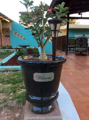 المنطقة المحيطة بالمنشأة