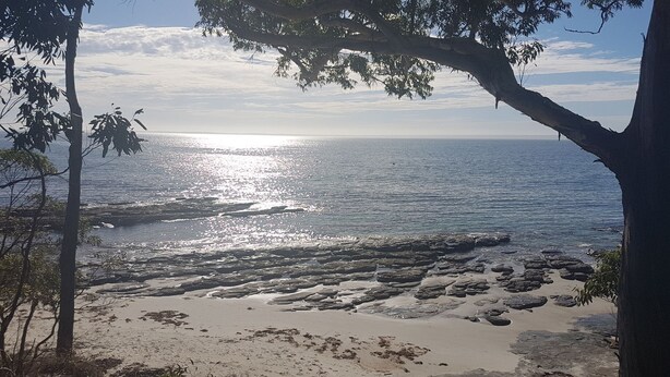 A beach with a rocky shoreline, trees, and the ocean under a clear sky.