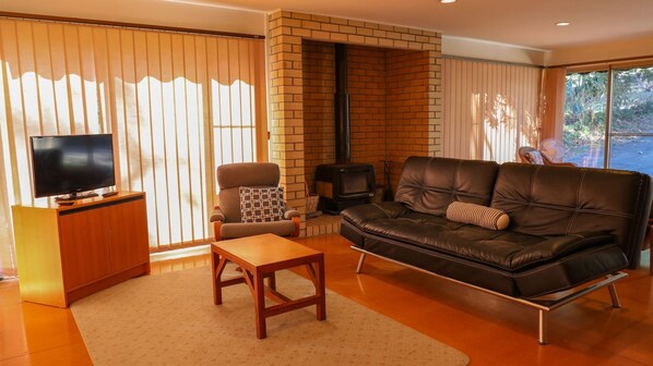 Télévision, cheminée, chaîne hi-fi