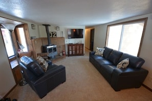 TV, DVD player, video library