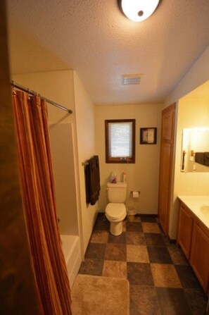 Combined shower/tub, hair dryer, towels, toilet paper