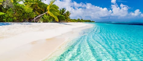 Am Strand, LiegestĂŒhle, StrandtĂŒcher