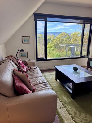 Una televisión de pantalla plana, un reproductor de DVD