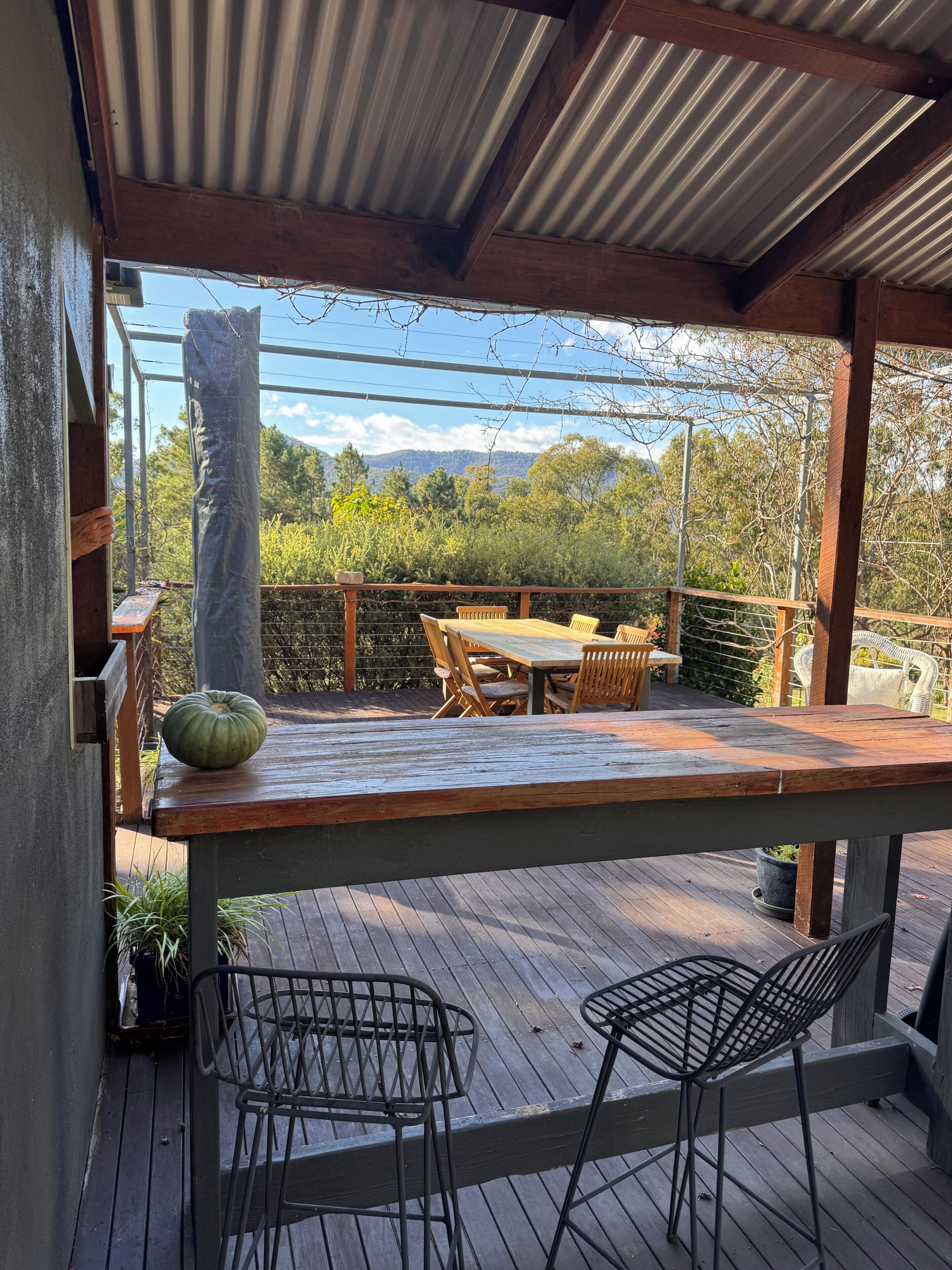 A wooden deck with a table and chairs, a metal chair, and a potted plant.